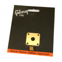 Placa metálica para jack de entrada Gibson PRJP-020