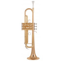 Trompeta Yamaha YTR-4335 GCN