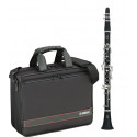 Clarinete Yamaha YCL255S