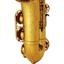 Saxofón Alto Yamaha YAS 62