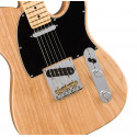 Fender American Professional Telecaster Ash MN NAT