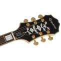 Guitarra eléctrica Epiphone Joe Pass Emperor II PRO VS