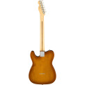 Fender American Performer Tele RW Honey Burst