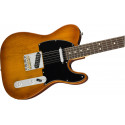 Fender American Performer Tele RW Honey Burst