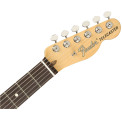 Fender American Performer Tele RW Honey Burst