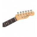 Fender Jimmy Page Telecaster RW NAT Signature