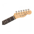 Fender Jimmy Page Telecaster RW NAT Signature