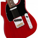 Fender American Professional Telecaster Ash RW CRT