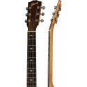 Gibson L-00 Sustainable