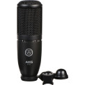 Akg P120