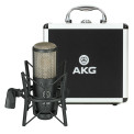 Akg P220