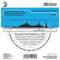 D'Addario EJ38 Phosphor Bronze 12 Cuerdas