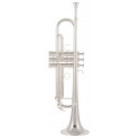 Trompeta Yamaha YTR-4335GSCN
