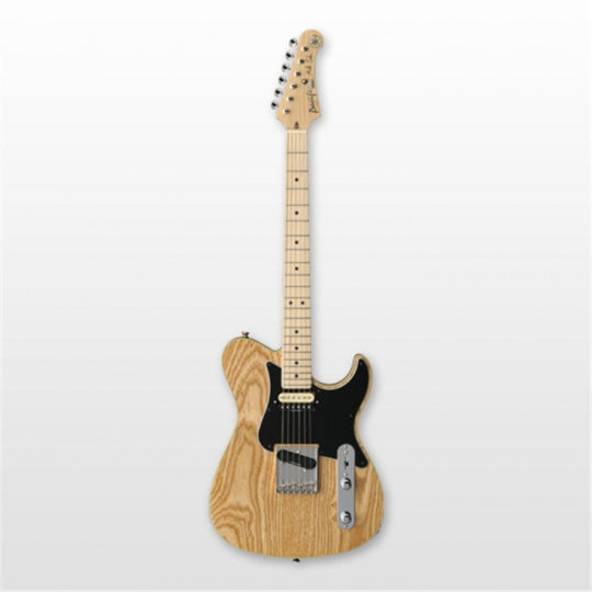 Electric Guitar Pa1611Msnt Natural/Mike Stern