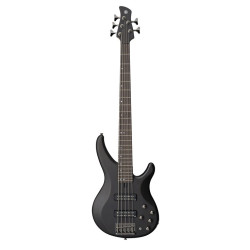 Electric Bass Trbx505 Translucent Black