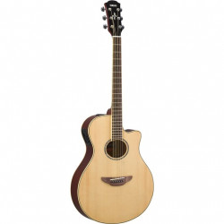 El. Acoustic Guitar Apx600 Natural