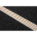 Ibanez RG5120M FCN EG Solid Frozen Ocean