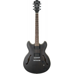 Ibanez AS53 TKF EG Hollow Transparent Black Flat