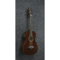 Ibanez AVNB1FE Brown Violin Semi Gloss