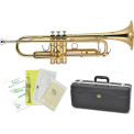 Trompeta J. Michael TR200