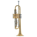 Trompeta J. Michael TR200