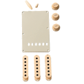 Fender Accessory Kit Stratocaster Aged White