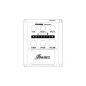 Ibanez AEWC11 DVS