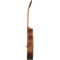 Gibson G-45