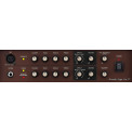 Boss ACS Acoustic Singer Live LT