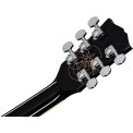 Gibson Adam Jones Les Paul Standard