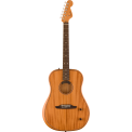 Fender Highway Dreadnought RW MAH