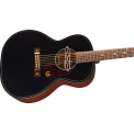 Gretsch Jim Dandy Deltoluxe Concert Black Top