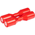 Shaker Meinl SH5R Luis Conte