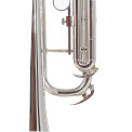 Trompeta Amadeus TP807N
