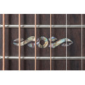 Ovation Celebrity Elite Plus CE44P-BLFL-G