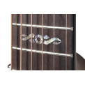 Ovation Celebrity Elite Plus CE44P-BLFL-G