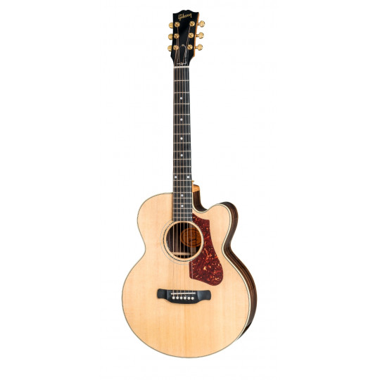 Guitarra eletroacústica Gibson Parlor Rosewood AG 2018
