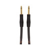 Roland  RIC-G10 Cable Instrumento