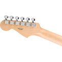 Fender Stratocaster Standard HSS MN AMM