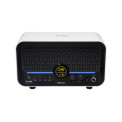 Mooer F15i Li SW