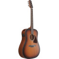 Ibanez AAD54E OMH