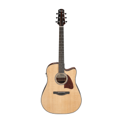 Ibanez AAD51CE NT