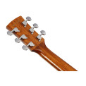 Ibanez AC390CE NT