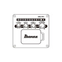 Ibanez AC390CE NT