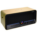 Mooer F40i Gold