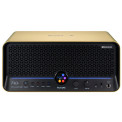 Mooer F40i Gold