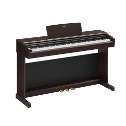 Yamaha Arius YDP-146 R