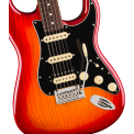Fender American Professional Stratocaster HSS RW ACB