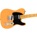 Fender American Professional Tele MN BTB