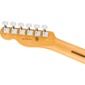 Fender American Professional Tele MN BTB